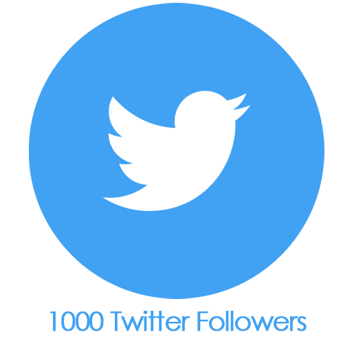 Buy 1,000 Twitter Followers