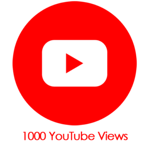Buy 1000 YouTube Video Views PayPal