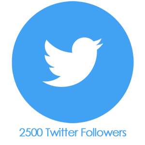 Buy 2,500 Twitter Followers PayPal
