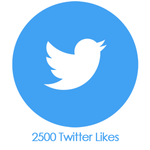 2500 Twitter Likes