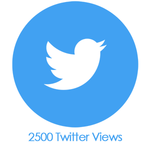 Buy 2,500 Twitter Video Views