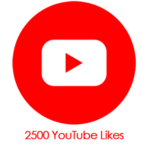 Buy 2500 YouTube Likes PayPal