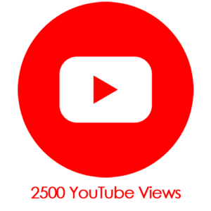 Buy 2,500 YouTube Video Views PayPal
