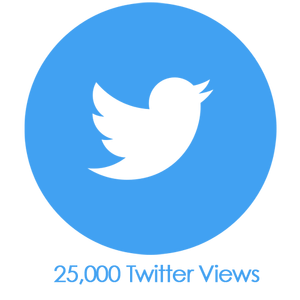 Buy 25,000 Twitter Video Views