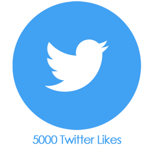 Buy 5000 Twitter Likes PayPal