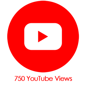 Buy 750 YouTube Video Views